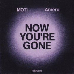 Now You're Gone (Extended Mix)