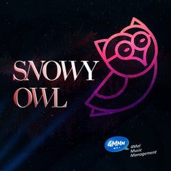 No Illusions / Owl Of Snow