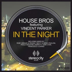 In the Night (feat. Vincent Parker)