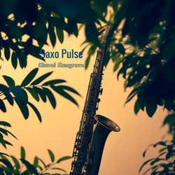 Saxo Pulse