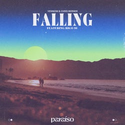 Falling (feat. Rico 56) (Extended Mix)