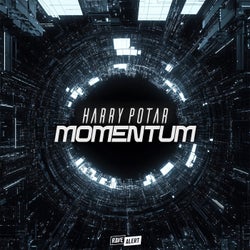 Momentum