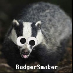 BADGER BANGERS: WEEK 50