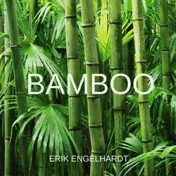 bamboo