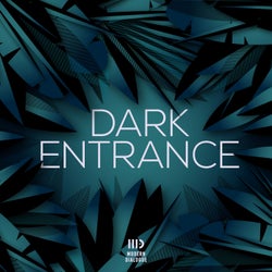 Dark Entrance