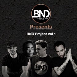 BND Project Vol 1