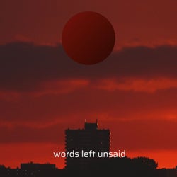 words left unsaid