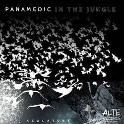 Panamedic in the Jungle