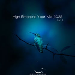 High Emotions Year Mix 2022, Pt. 1