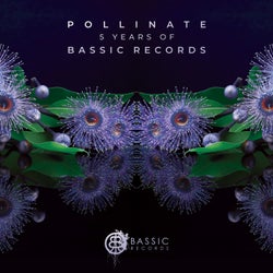 Pollinate (5 Years of Bassic Records)