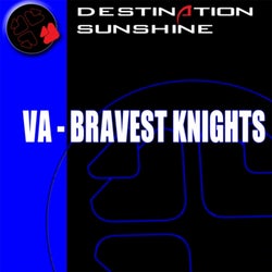 Bravest Knights
