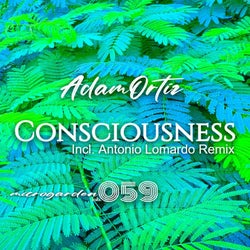 CONSCIOUSNESS Chart
