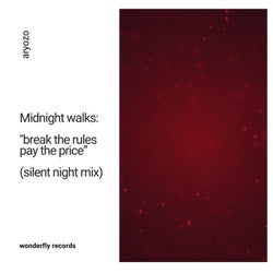 Midnight walks: "break the rules pay the price" (silent night mix)