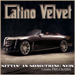 Sittin' In Something New (feat. Paula DeAnda) - Single