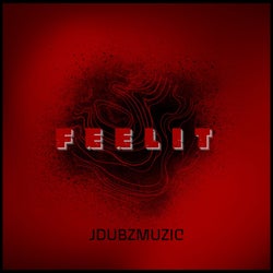 Feelit (Jdubz Orignal Mix)