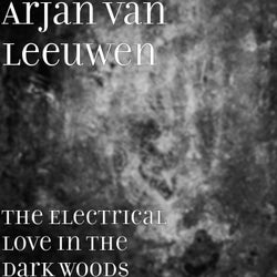 The Electrical Love in the Dark Woods