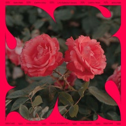 Cover art for LP2