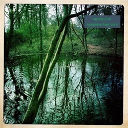 Morphine Park Vol 4