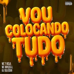 Vou Colocando Tudo