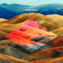 Begonia