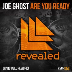 Are You Ready - Hardwell Rework