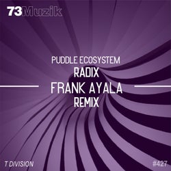 Radix (Frank Ayala Remix)