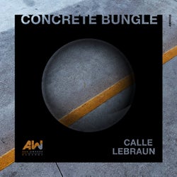 Concrete Bungle