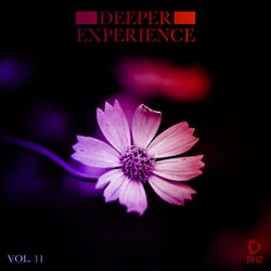 Deeper Experience Vol. 11