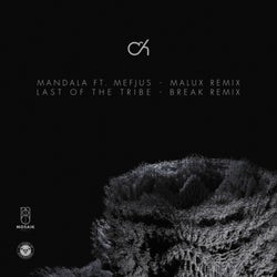 Mandala / Last Of The Tribe (Malux Remix / Break Remix)