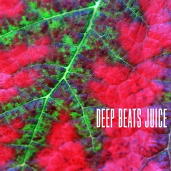 Deep Beats Juice