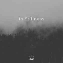 In Stillness