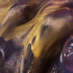 Sine Collapse