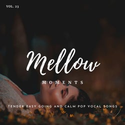 Mellow Moments - Tender Easy Going And Calm Pop Vocal Songs, Vol. 23