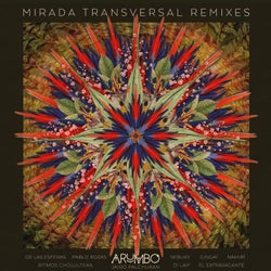 Mirada Transversal Remixes