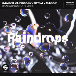 Raindrops (feat. Chacel) [Extended Mix]