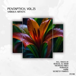 Pentaptych, Vol. 25