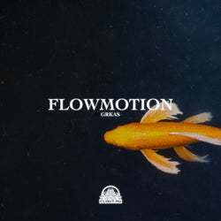 Flowmotion