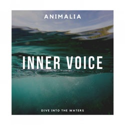 Inner Voice (Original Mix)