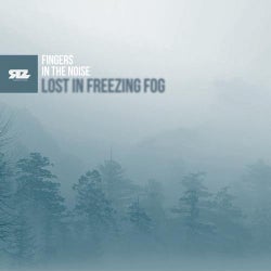 Lost in Freezing Fog