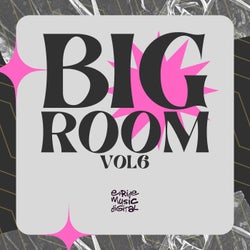 Big Room, Vol.6