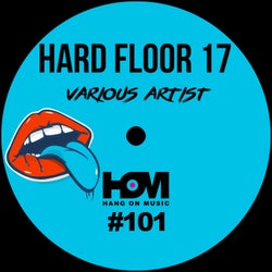 Hard Floor 17