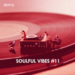 Soulful Vibes, Vol. 11