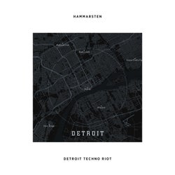 Detroit Techno Riot