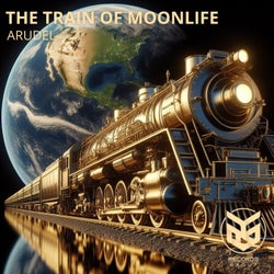 The Train Of Moonlife