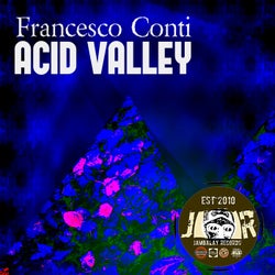Acid Valley