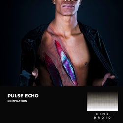 Pulse Echo