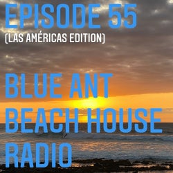 55 Blue Ant Beach House Radio