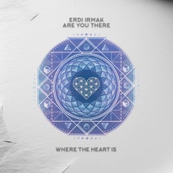 Are You There