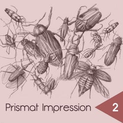 Prismat Impression 2