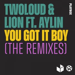 You Got It Boy (The Remixes)